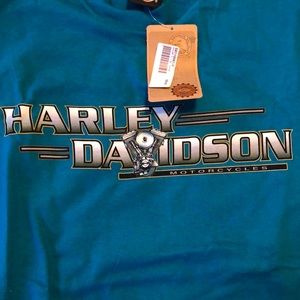 Harley Collectible dealer tee , at least 14 years old